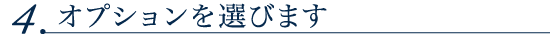 4.オプションを選びます