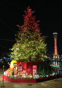 クリスマスツリー画像