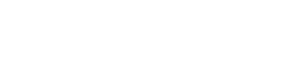 Summer Biz