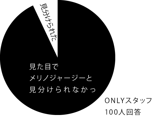 見た目でメリノジャージーと見分けられなかった