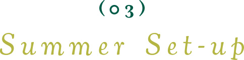 03 Summer Set-up