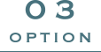 03 オプション選び