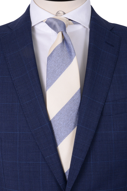 プレゼンテーションを行う日